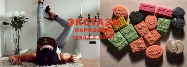 стаф Новодвинск