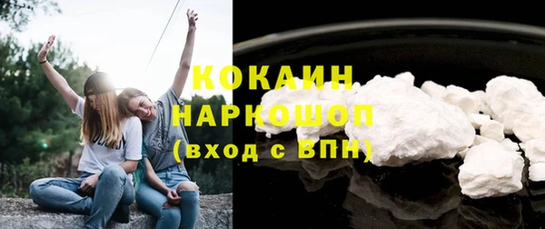 трава Новозыбков