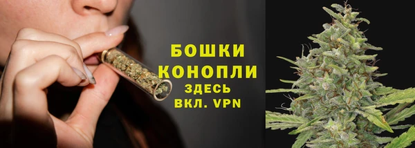 трава Новозыбков