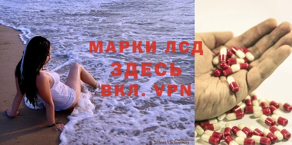 трава Новозыбков