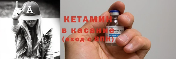трава Новозыбков