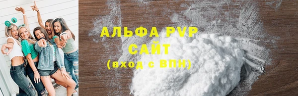 стаф Новодвинск