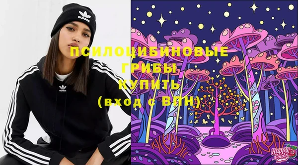 стаф Новодвинск
