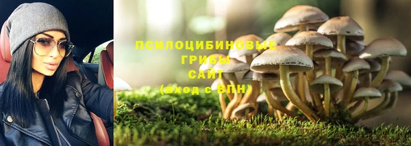 стаф Новодвинск