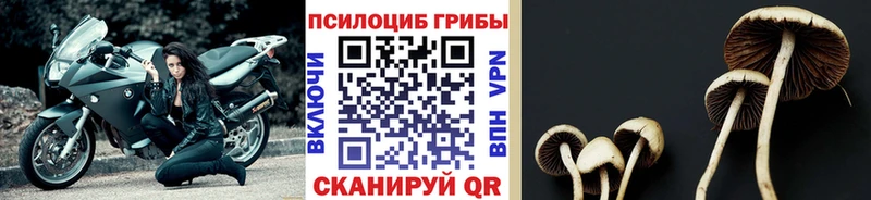 Галлюциногенные грибы GOLDEN TEACHER  Энем 