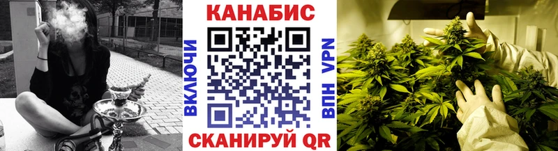 где продают наркотики  Энем  Канабис сатива 